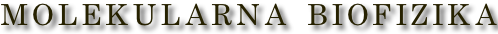 shapeimage_2_link_0