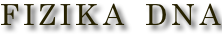 shapeimage_2_link_0